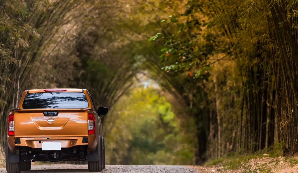 back view of orange pickup truck on road 