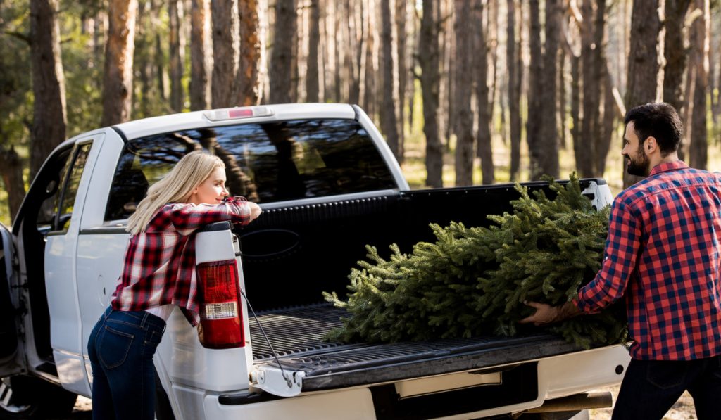 young couple carrying christmas tree to pickup bed