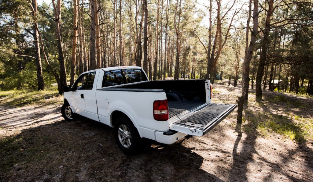 white pickup truck with opened bed in the forest
